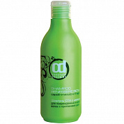 Шампунь с протеинами шелка для поврежденных волос Constant Delight Spa Silk Shampoo 500 мл